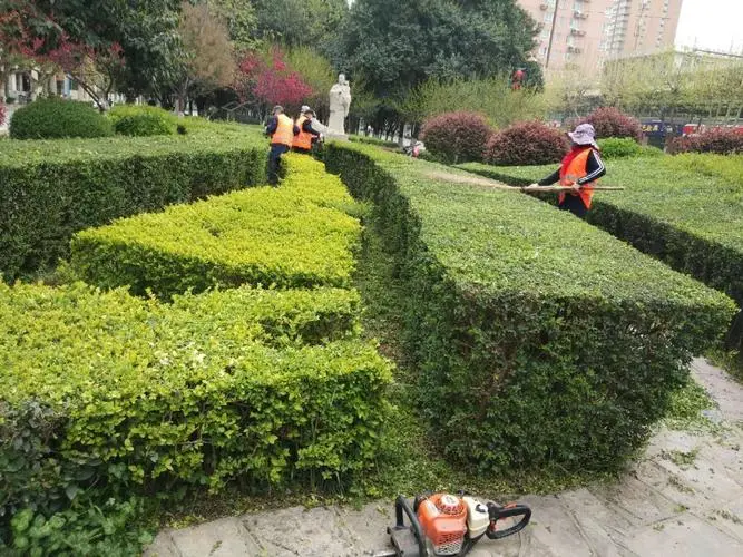 天柱开发区绿化工程项目